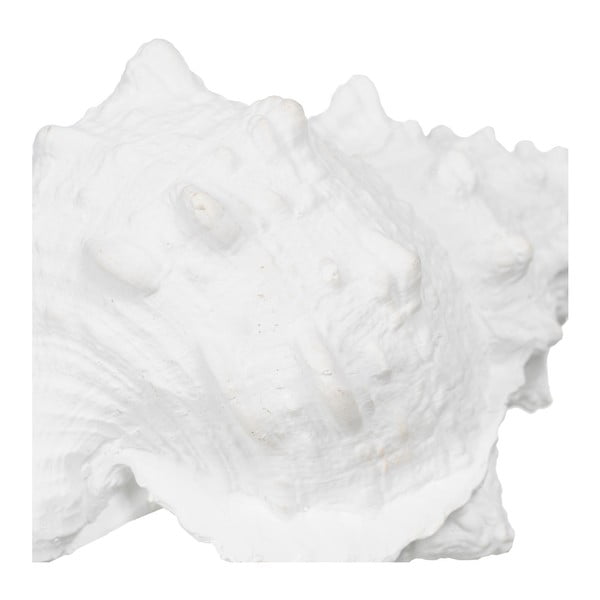 Statuetă din polirășină (înălțime 12 cm) Seashell – Ixia-image-1