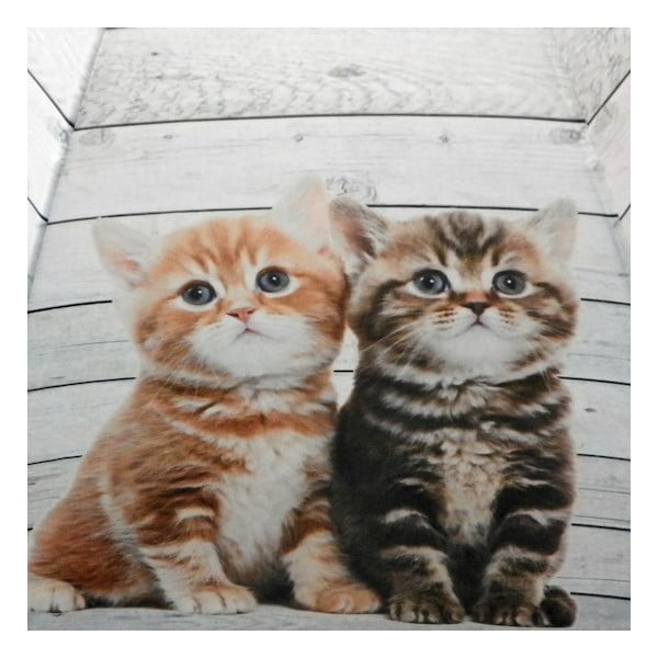 Umbrelă Scaffold Wood Kittens Red-image-1
