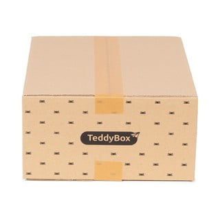 Set de 3 cutii de depozitare bej Compactor Teddy, 35 x 15 cm