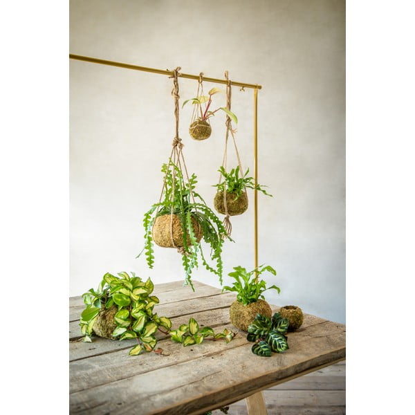 Ghiveci ø 14,5 cm Kokedama – Esschert Design-image-1
