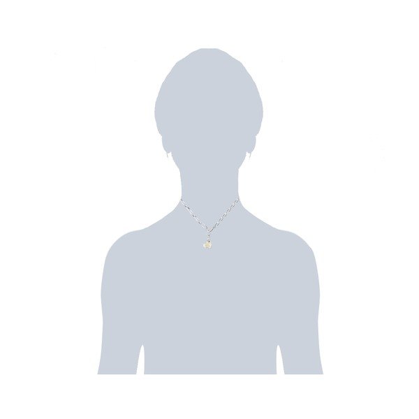 Colier cu elemente Swarovski Lilly & Chloe Dianne-image-1