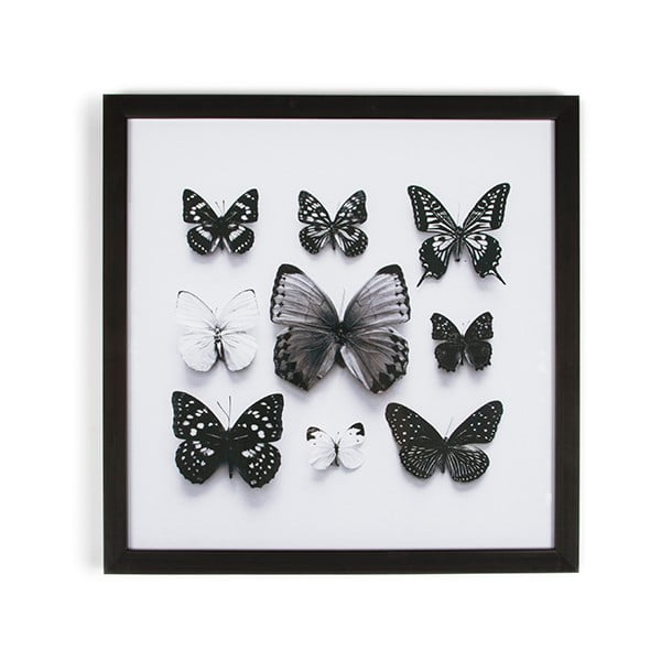 Tablou cu ramă Graham & Brown Butterfly Studies, 50 x 50 cm