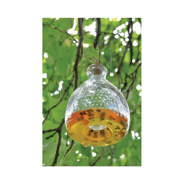 Capcană din sticlă pentru insecte Esschert Design-image-1