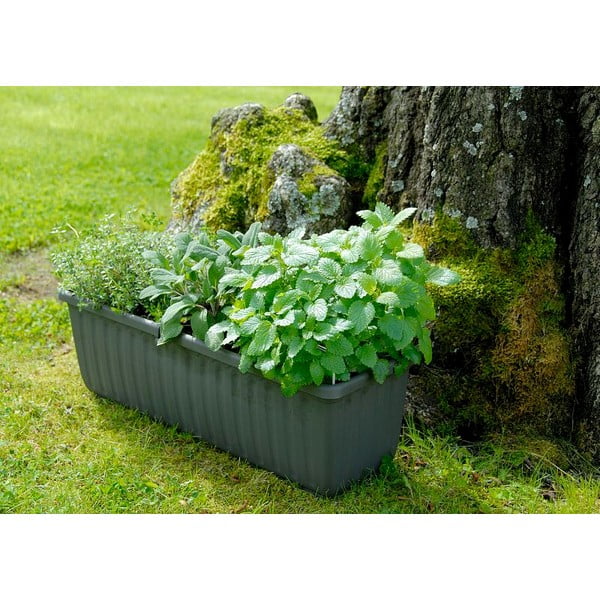 Ghiveci cu auto-udare Plastia Siesta, lungime 80 cm, gri antracit-image-1