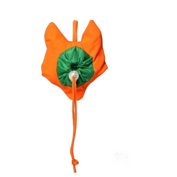 Sacoșă cumpărături Sass & Belle Foldable-image-1