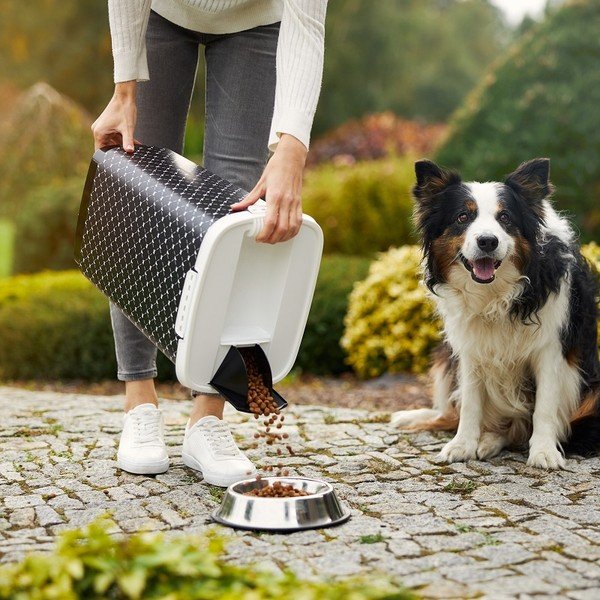 Cutie de granule pentru animale negru 25 l Cody - Rotho-image-2