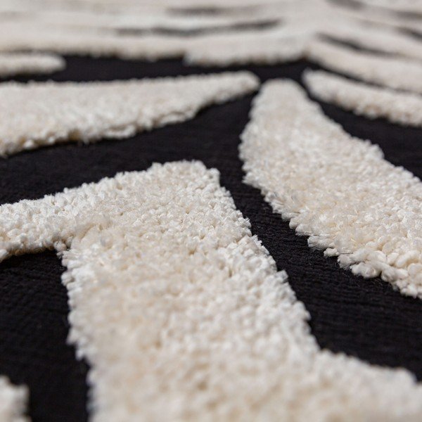Covor alb-negru 200x300 cm Esra Zebra – Flair Rugs-image-2