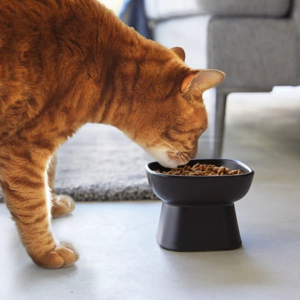 Bol pentru animale de companie din ceramică Tower – YAMAZAKI-image-1