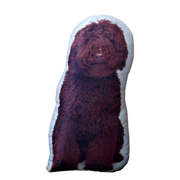 Pernă cu imprimeu Adorable Cushions Cockapoo