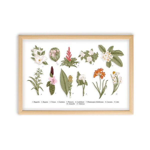 Tablou Surdic Botanical Flowers, 50 x 70 cm