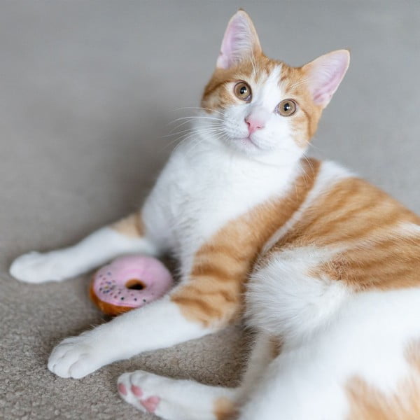 Set de jucării pentru pisici 3 buc. Donuts – P.L.A.Y.-image-2