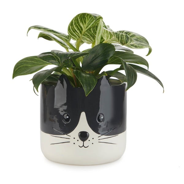 Ghiveci din ceramică ø 13,5 cm Kitty – Balvi-image-1