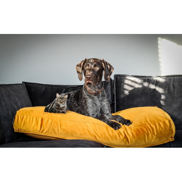 Saltea galbenă pentru câini 80x55 cm – Madison-image-1