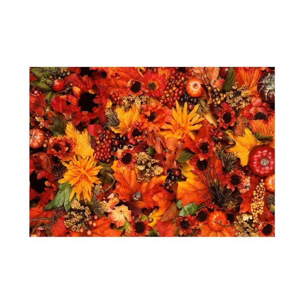 Covoraș Zerbelli Margo, 75 x 52 cm-image-3