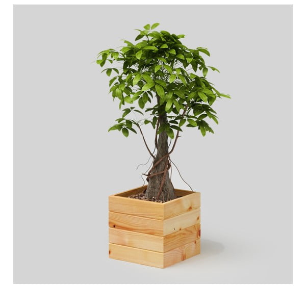 Ghiveci Only Wood Flower Box, culoare naturală