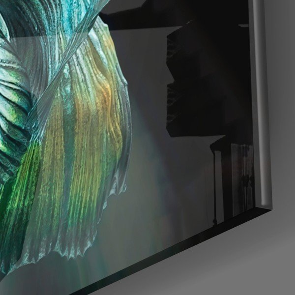 Tablou din sticlă Insigne Betta-image-3