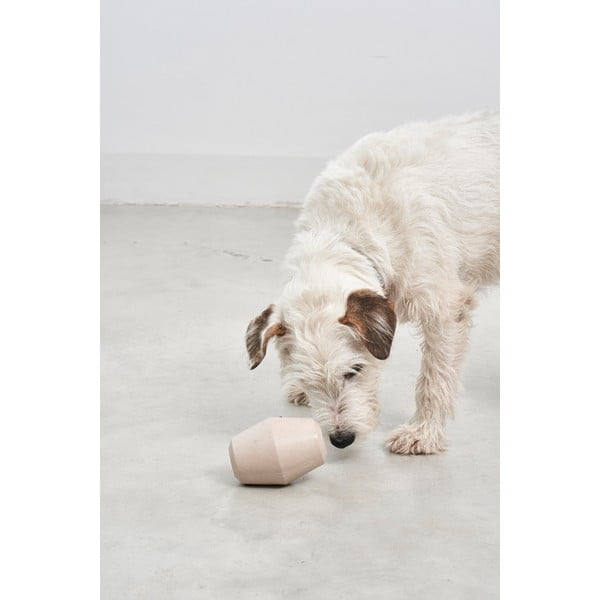 Jucărie pentru câine Cono Slate – MiaCara-image-1