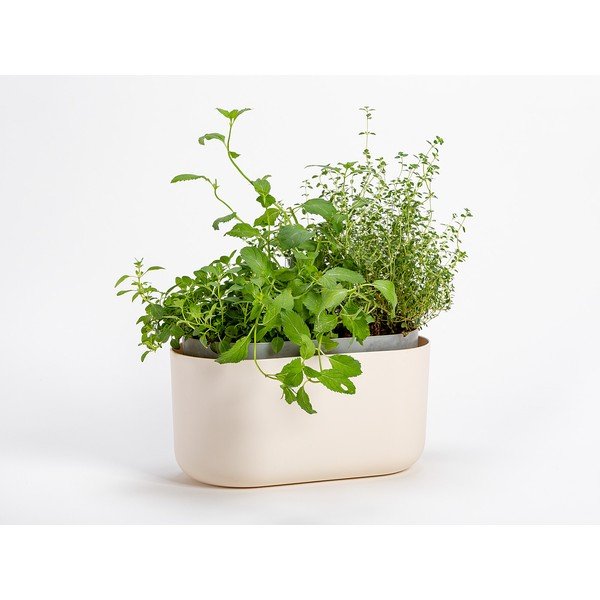 Ghiveci cu auto-udare Plastia Tolita, bej-image-1