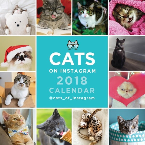 Calendar mic perete pentru anul 2018 Portico Designs Cats On Instagram