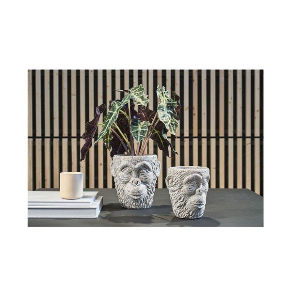 Ghiveci din ciment Villa Collection Calbe, înălțime 22,5 cm-image-1