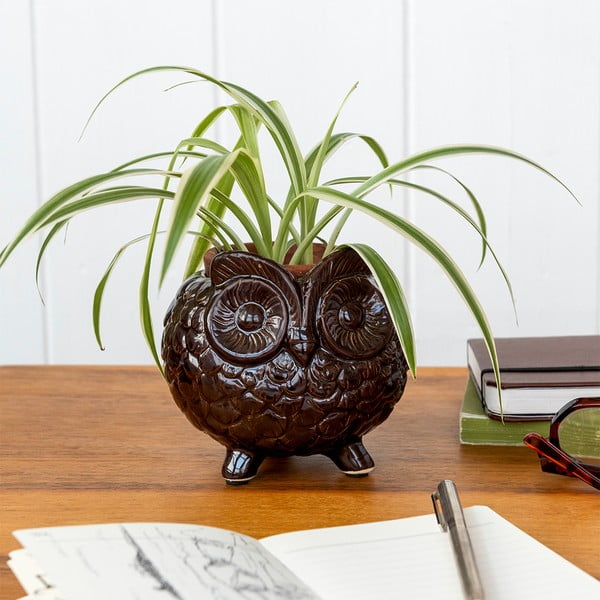 Ghiveci decorativ din ceramică ø 11 cm Owl – Rex London-image-2