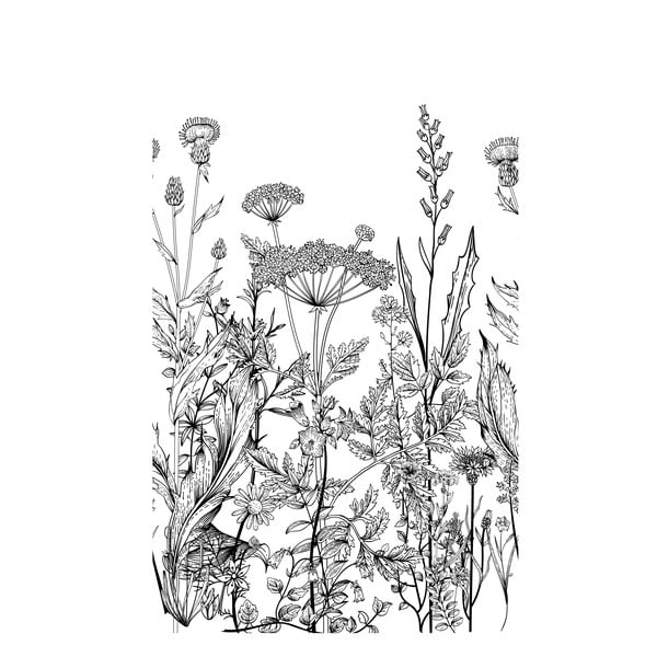 Tapet cu model floral Dekornik Meadow, negru - alb