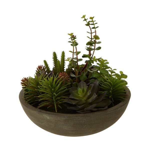 Plantă suculentă artificială în ghiveci Premier Housewares Fiori-image-1