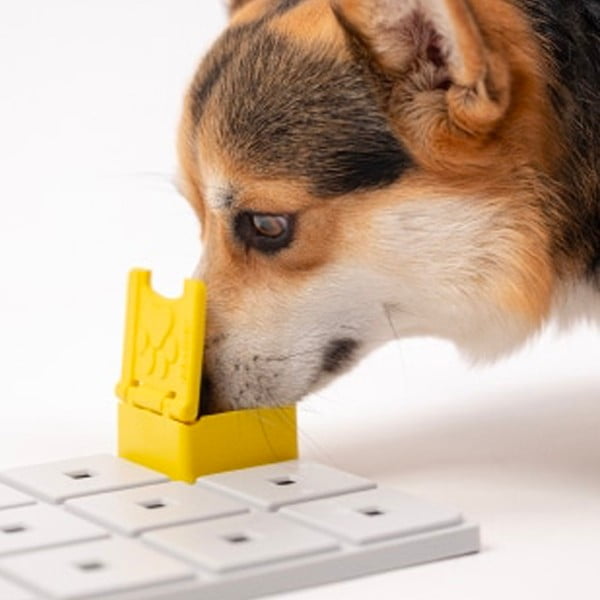 Puzzle pentru câini Base – Pawzler-image-1