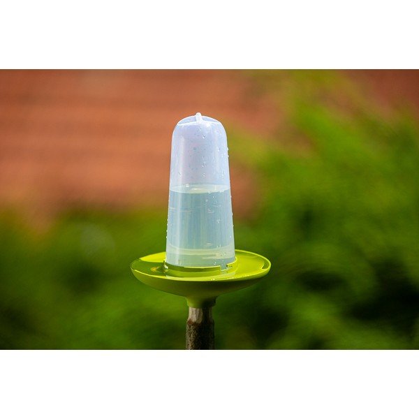 Hrănitoare pentru păsări Plastia Robin, verde-image-1