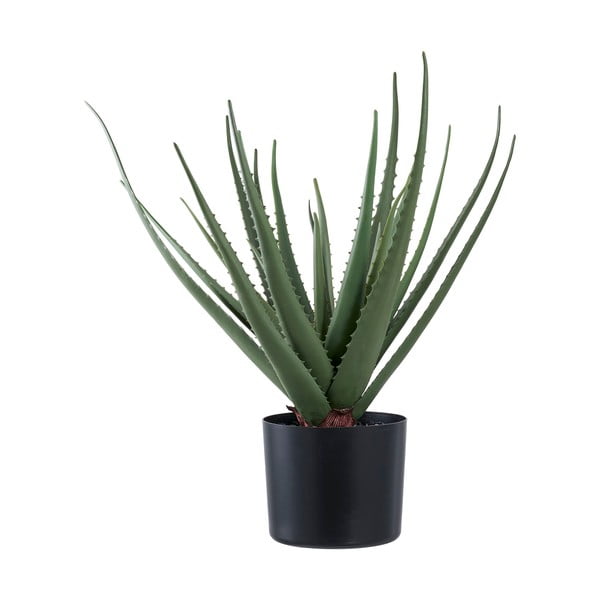 Plantă artificială (înălțime 51 cm) Aloe Vera – House Nordic