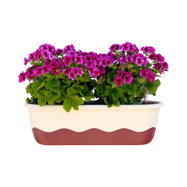 Ghiveci cu sistem de auto-irigare Plastia Mareta, lungime 60 cm, roz-alb-image-1