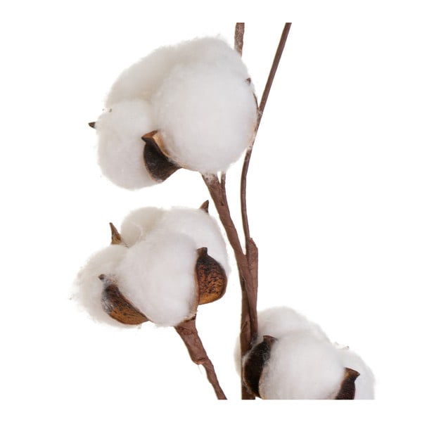 Plantă uscată (înălțime 55 cm) Cotton – Casa Selección-image-1