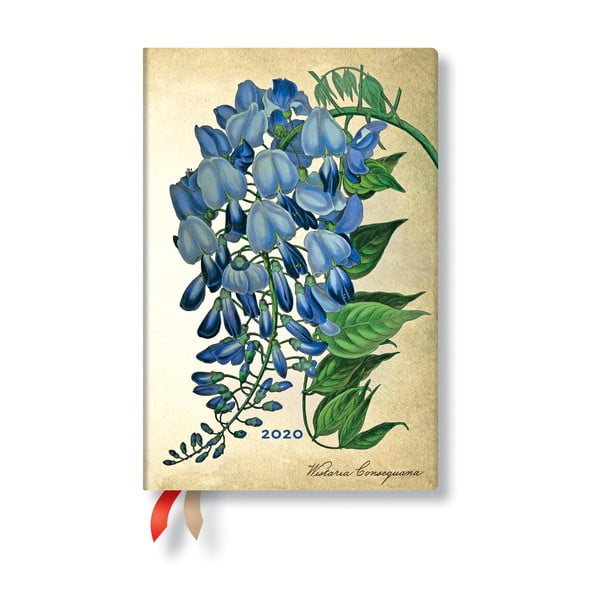 Agendă pentru anul 2020, cu copertă tare Paperblanks Blooming Wisteria, 160 file, multicolor