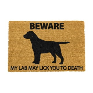 Covoraș intrare din fibre de cocos Artsy Doormats Labrador, 40 x 60 cm