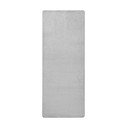 Covor tip traversă gri deschis 80x300 cm Fancy – Hanse Home