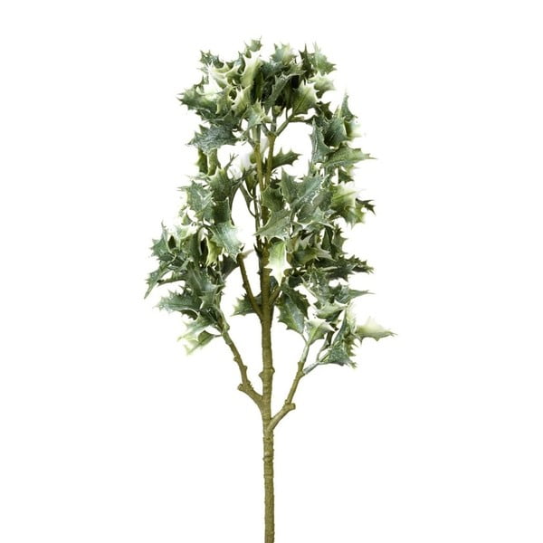 Ramură decorativă Parlane Holly Leaves, délka 60 cm