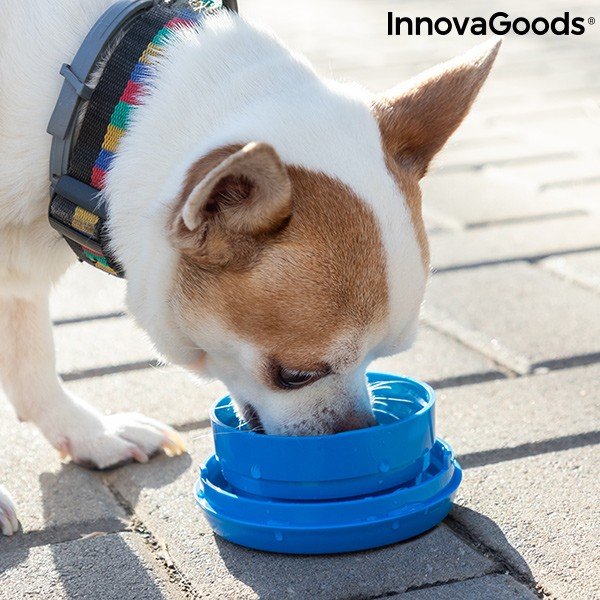 Lesă de câine retractabilă 6 în 1 InnovaGoods-image-2
