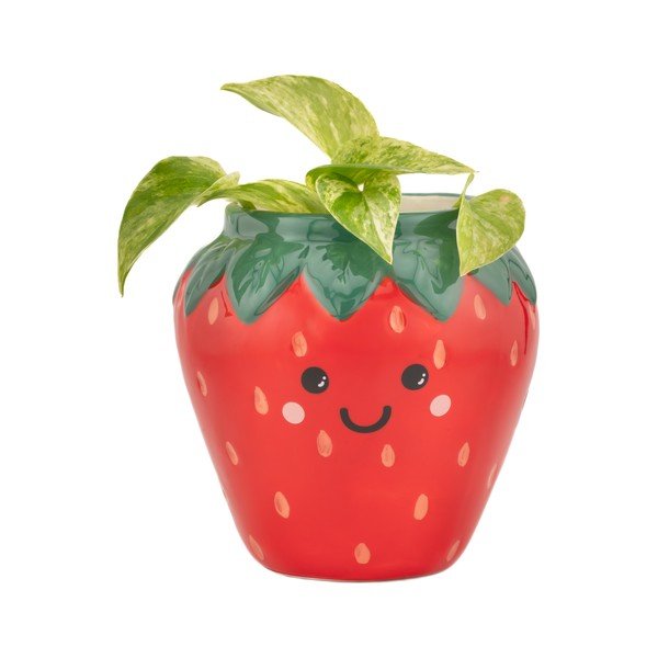 Ghiveci decorativ din ceramică ø 10 cm Strawberry – Sass & Belle-image-1