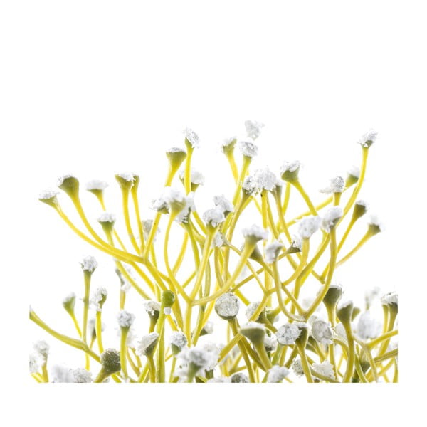 Plantă artificială (înălțime 27 cm) Babi – Restilo-image-2