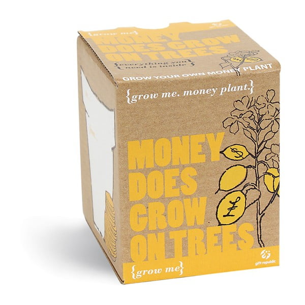 Set grădinărit Gift Republic Money Does Grow On Trees cu semințe de Epipremnum auriu