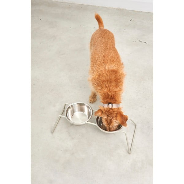 Set boluri cu suport pentru câini din oțel inoxidabil Cena Greige M – MiaCara-image-3