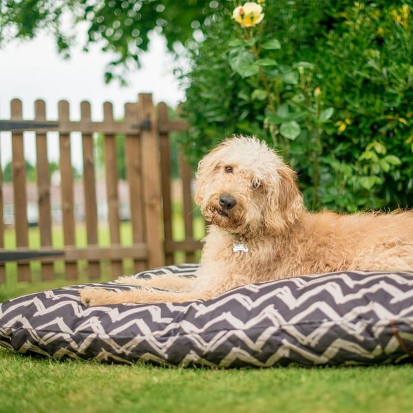 Pat pentru animale de companie negru pentru câini 50x70 cm Outdoor Bed Barn Raven Black S – P.L.A.Y.-image-1