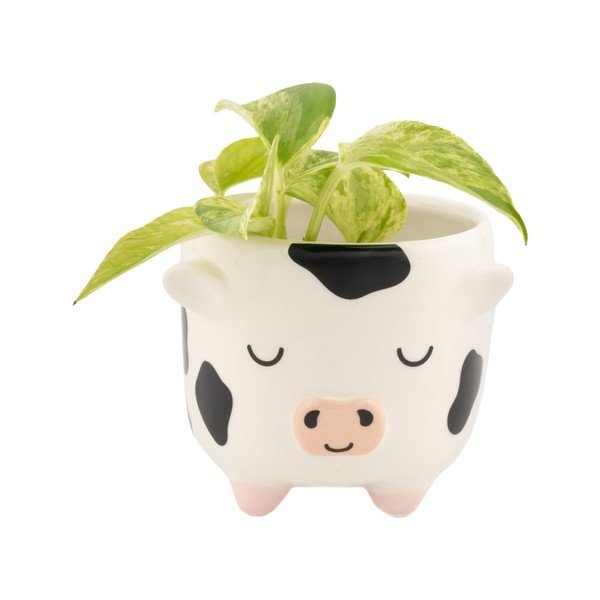 Ghiveci decorativ din ceramică ø 7,5 cm Cow – Sass & Belle-image-1