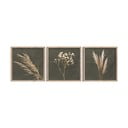 Tablouri 3 buc. 30x30 cm Pampas – Styler