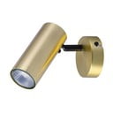 Spot auriu din metal 8x16 cm Colly – Candellux Lighting