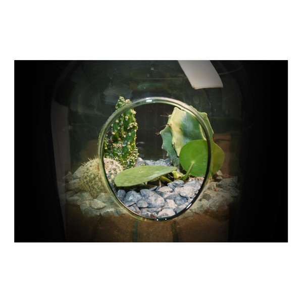 Terariu Esschert Design, 3 l-image-1