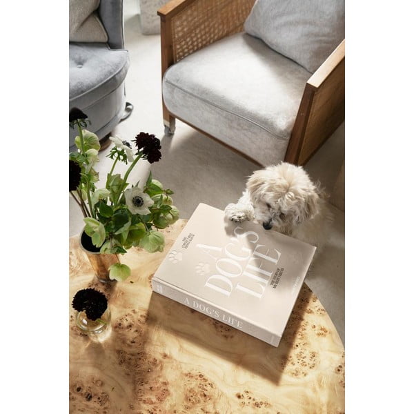 Album foto  A Dog's Life – Printworks-image-1