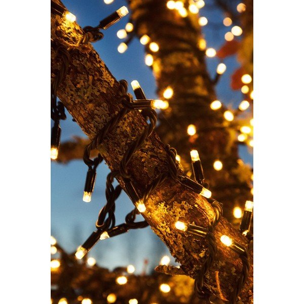 Ghirlandă luminoasă cu 100 becuri, lungime 10 m cu model de Crăciun Chrissline – Markslöjd-image-1