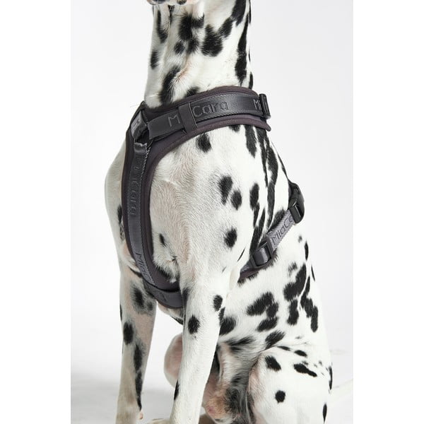 Ham gri închis L lungime 42 cm Modena Asphalt L – MiaCara-image-2