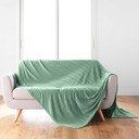 Cuvertură verde-deschis din microflanel 180x220 cm Arya – douceur d'intérieur